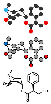 Scopolamine (hyoscine) anticholinergic drug molecule. 
