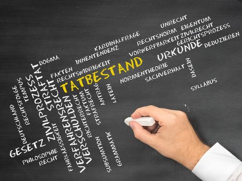 Tatbestand