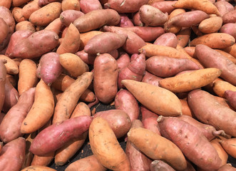 Sweet potato or Kumara background