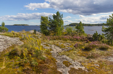 Summer landscape on the rocky shore of Lake Ladoga