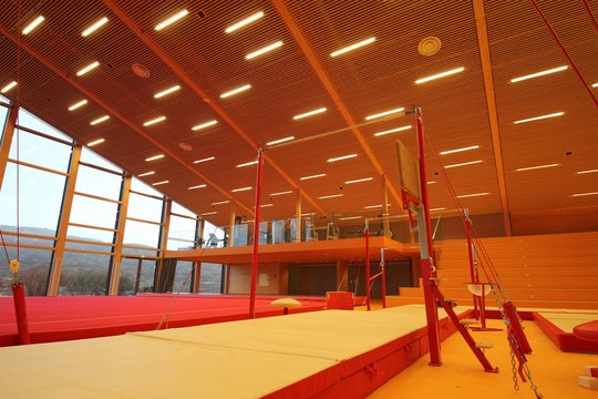 Gymnastic equipment 
