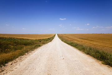 Fototapeta premium Rural Dirt road 