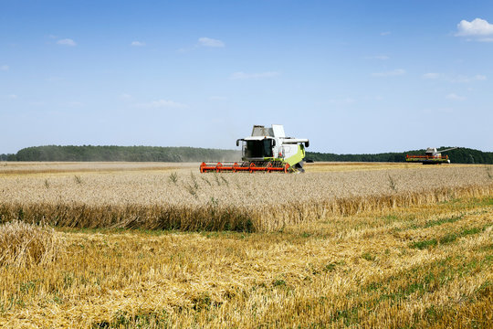 Harvester in the field  