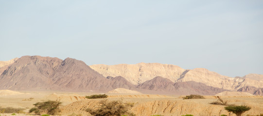 Beautiful red sandstone in the desert in Israel