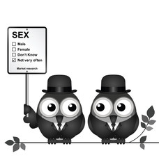 Market Research Sex
