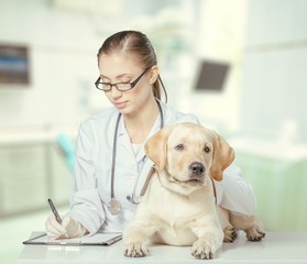 Veterinarian.