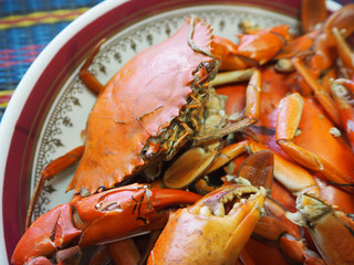 Steamed crab in plate