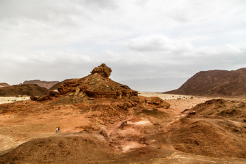 Beautiful red sandstone in the desert in Israel, Timna Park