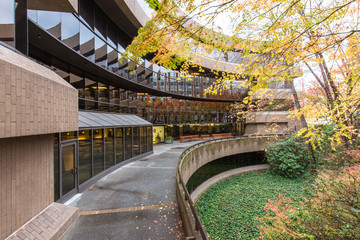 empty footpath near modern building in seattle
