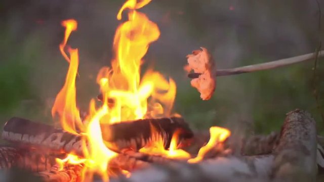 Close up of cooking bread on a stick over a campfire