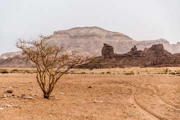 Beautiful red sandstone in the desert in Israel, Timna Park