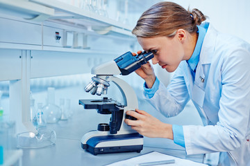 Researcher at work
