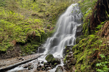 Fairy Falls in Spring
