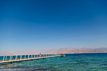 The crystal clear waters of the Red Sea coral reef