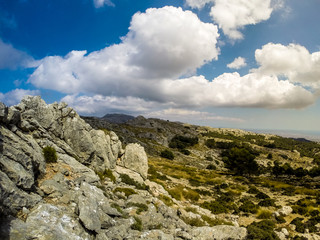 Fototapeta na wymiar Beautiful mountains on the western part of Mallorca island, Spain. Tramuntana mountains with green bushes. Tourist trekking destination in Spain.
