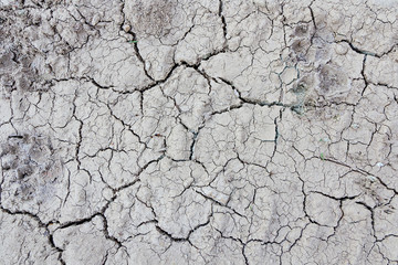 Surface of land with dry and cracked ground