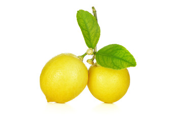 Lemon isolated on a White background