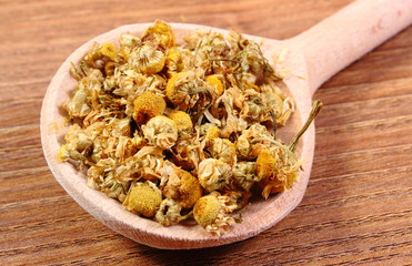 Dried chamomile on wooden spoon, alternative medicine