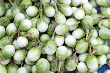 eggplant, aubergine, green eggplant