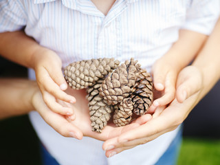 Closeup macro shot image of child with mother parent holding a bunch of pine cones, toned with Instagram filters, retro vintage style, film effect, selective focus, shallow depth of field