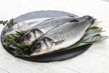 Seabass