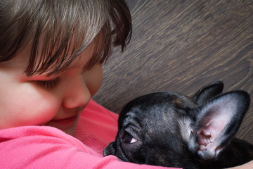 Girl and dog. The girl's face and a large muzzle puppy. Dog black French Bulldog. The relationship of the child and the dog. Concept - trust, love, the contents of the house dogs. 