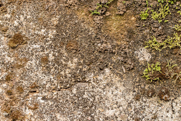 white concrete wall texture