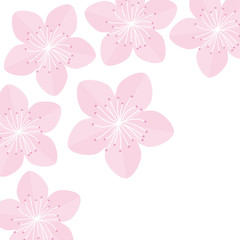 Plakat Sakura flowers. Japan blooming pink cherry blossom Isolated on white background Flat design