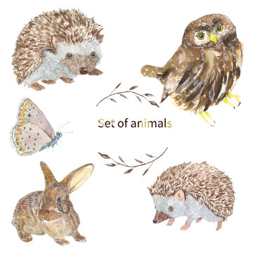 
Set of animals. Owl, hedgehog, butterfly, Bunny set of animals, watercolor drawing. For the design of postcards, baby clothes and t-shirt prints.
