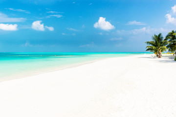 Fototapeta na wymiar Белоснежный пляж на Мальдивских островах