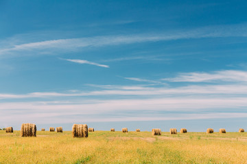 Fototapeta na wymiar Rural Landscape Field Meadow With Many Hay Bales After Harvest i