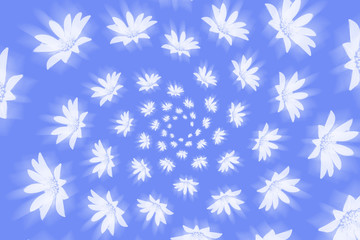 floral pattern. shining white flowers radiate from the center of the circle.