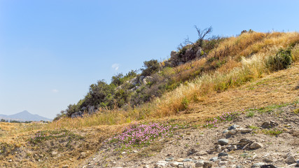 Fototapeta na wymiar Grass covered slope with huge rock boulders. Choirokoitia (Khirokitia) Neolithic Settlement. Cyprus. 