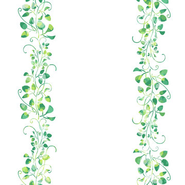 つる植物 Images Browse 1 685 Stock Photos Vectors And Video Adobe Stock