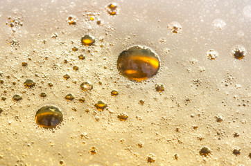 Bubbles on beer