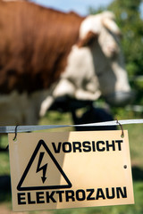 Weidezaun, Kuh, Landwirtschaft, Warnung, Hinweis, Symbol