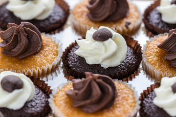 Chocolate cupcakes