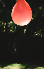The balloon with black garden in the background,digital effect abstract for background