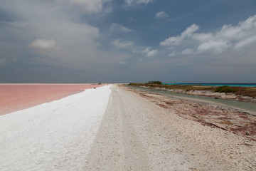 Fototapeta premium rose salt mining lake caribbean Bonaire island
