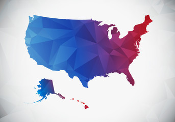 USA, polygon map