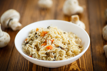 dietary pilaf with mushrooms 