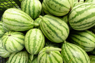Young Water Melon ,