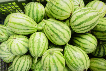 Young Water Melon ,
