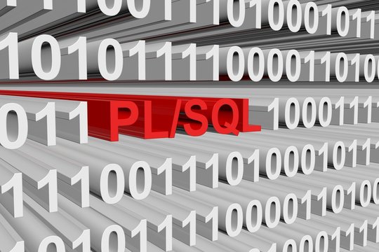 PL SQL is presented in the form of binary code