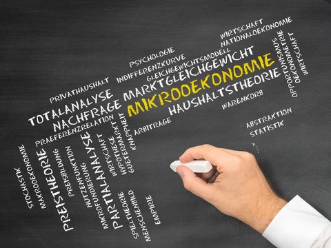 Mikro&ouml;konomie