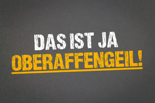 Das ist ja Oberaffengeil!