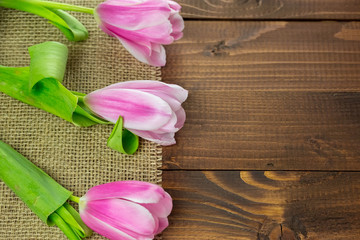 beautiful pink tulips lying on the burlap on the background of old brown boards. The idea of Mother's day cards, March 8, birthday with free space for your text