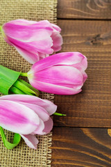 beautiful pink tulips lying on the burlap on the background of old brown boards. The idea of Mother's day cards, March 8, birthday with free space for your text