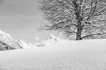 Schneefläche in den Alpen in schwarz weiss