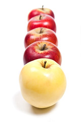 Group of ripe apples on a white background